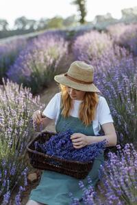 Lavender one of the world's most loved herbs.